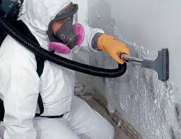 Asbestos and Lead Testing During Mold Inspection in Winona, MS